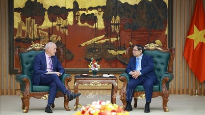 Премьер-министр Фам Минь Чинь принимает директора Университета RMIT в Австралии.