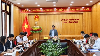 El sector turístico de Lam Dong se está preparando para la temporada alta de verano y los grandes eventos de 2026.