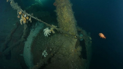 Danskt krigsfartygsvrak upptäckt på havets botten efter mer än 200 år.