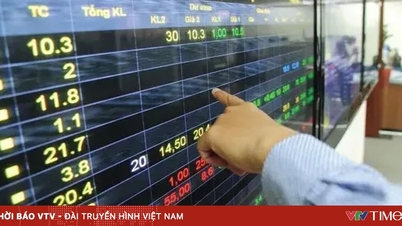 Indicele VN a scăzut cu peste 8 puncte.