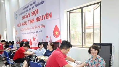 Tung Thien bölgesinde 400'den fazla kişi kan bağışı kampanyasına katıldı.