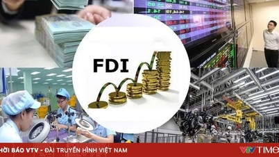 Vietnam'daki doğrudan yabancı yatırım yapan işletmelerin güven endeksi önemli ölçüde arttı.
