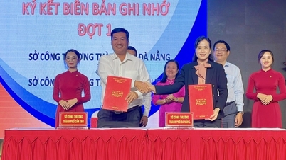 Can Tho and Da Nang connect for trade and market expansion.