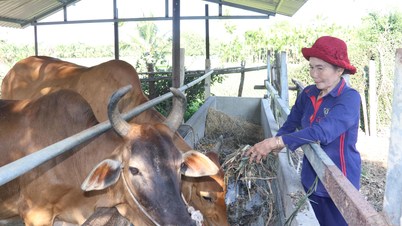 Hoa Tri Commune: Empowering women to develop economically.