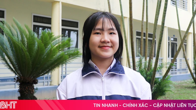 Female student from Ha Tinh conquers top spot in French subject.