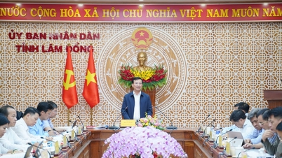 ខេត្ត Lam Dong ខិតខំធ្វើការពេញមួយយប់ ដើម្បីស្វែងរកដំណោះស្រាយ ដើម្បីសម្រេចបានកំណើន GRDP ពីរខ្ទង់។