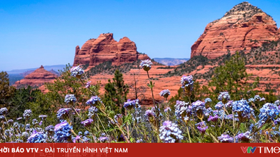 Sedona - Vücudunuzun daha derin nefes almasını ve zihninizin yavaşlamasını sağlamak için yürüyüşe çıkın.