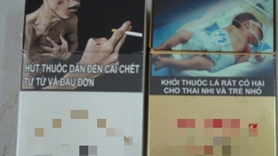 DSÖ tavsiyelerinden Vietnam uygulamalarına: Tütün ambalajlarında bir atılım gerekiyor.