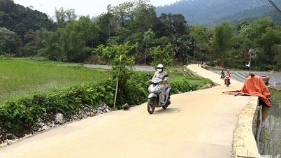 पहाड़ी क्षेत्रों की बस्तियों में नया ग्रामीण विकास कार्यक्रम फल-फूल रहा है।