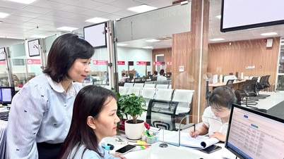 Putting the Resolution into Practice - Part 5: Substantive Innovation from Thinking, Operating Mechanisms to the Quality of the Workforce