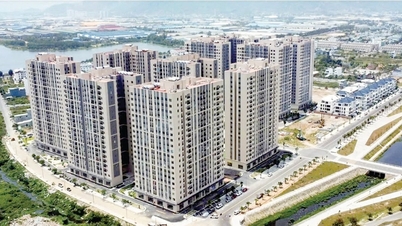 Da Nang real estate market: Prices remain high, transactions slow down.