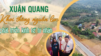 សួនក្វាង៖ ដោះសោធនធានសម្រាប់ការអភិវឌ្ឍសេដ្ឋកិច្ចវិស័យឯកជន។
