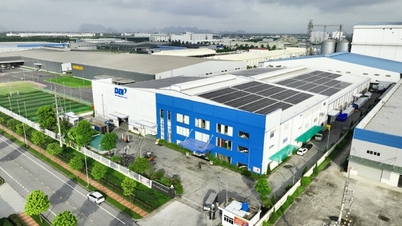 «Боса» Binh Thuan Plastics: Випуск зелених облігацій – це вигідна інвестиція.