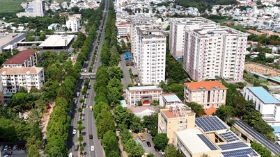 डोंग नाई के उदय में विश्वास