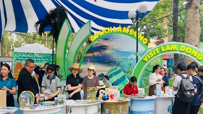 Lam Dong province is strengthening its tourism promotion and development linkages with Ho Chi Minh City.