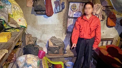 قامت شابة في العشرينات من عمرها بسرقة ما يقرب من 80 مليون دونغ فيتنامي من رجل يبلغ من العمر 106 أعوام.