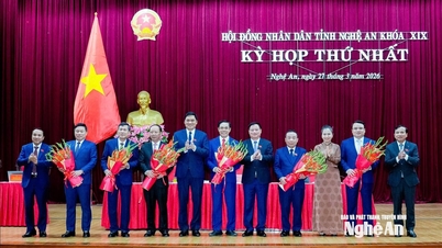 Başbakan, Nghe An eyaleti Halk Komitesi Başkanlığı ve 5 Başkan Yardımcılığı pozisyonu için 2026-2031 dönemi için yapılan seçim sonuçlarını onayladı.