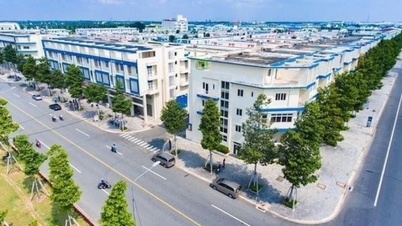 Binh Duong Business and Development berencana mencapai keuntungan sebesar 290,21 miliar VND pada tahun 2026.