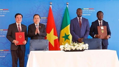 Mở rộng hợp tác thương mại Việt Nam-Senegal