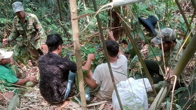 Quang Ngai'de kaybolan yaşlı bir adamı aramak için yaklaşık 50 kişi gece boyunca ormanda yürüyüş yaptı.