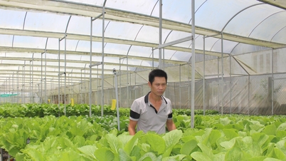 En Lam Dong, se intensifica la gestión de los suministros y se protege la producción agrícola.