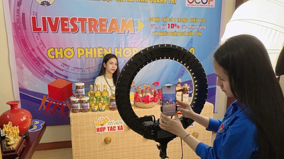Promoting the collective economy through the livestream market model.