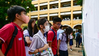 ¿Cómo ha fluctuado el índice de competencia para el décimo grado en Ciudad Ho Chi Minh durante los últimos dos años?