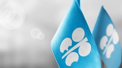 В марте 2026 года добыча нефти странами ОПЕК сократилась на 7,3 миллиона баррелей в сутки, достигнув рекордно низкого уровня.