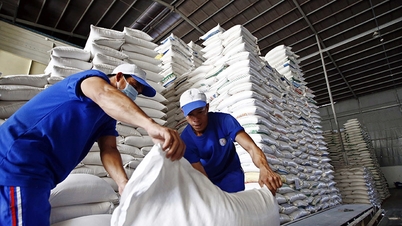 Vietnamese goods have wide-ranging opportunities in Tunisia.