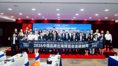 VIMC works with a delegation of Chinese businesspeople to promote cooperation in developing cross-border supply chains.