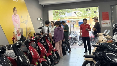 環境に優しい交通手段の開発 - パート2：電動バイク市場は刺激的だ