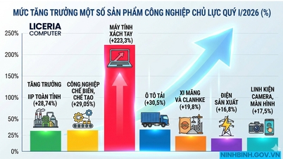 Высокие технологии являются движущей силой для внедрения компанией Ninh Binh интегрированной системы борьбы с вредителями (IIP), которая позволит ей добиться прорывных результатов в первом квартале 2026 года.