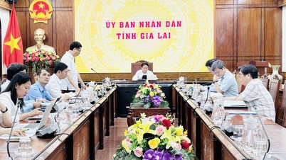 First Meeting of the Steering Committee for the Implementation of the Private Economic Development Project in Gia Lai Province
