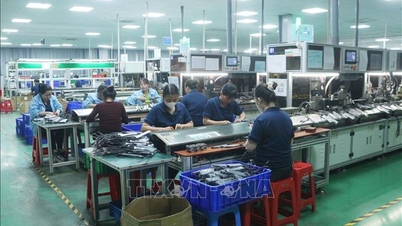 Ninh Binh ipari övezeteiben működő vállalkozások nehezen találnak munkavállalókat.
