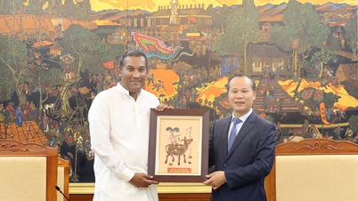 Bac Ninh: Wakil Ketua Tetap Komite Rakyat Provinsi, Mai Son, menerima Duta Besar Sri Lanka untuk Vietnam, membahas berbagai isu penting.