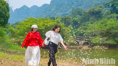 Tourists enjoy "hunting" for the early butterfly season in Cuc Phuong National Park.