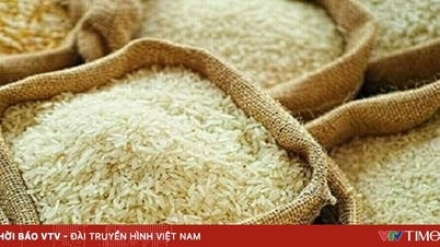 Harga beras global diperkirakan akan naik tajam.