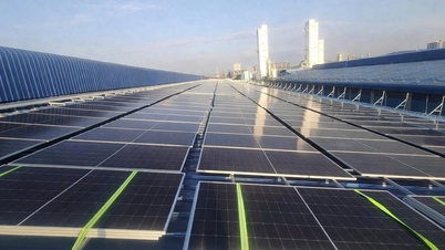 A vállalkozások proaktívan takarítanak meg energiát, és fokozatosan zölddé teszik termelési folyamataikat.
