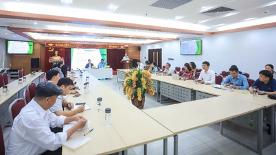 Meningkatkan sistem hukum Vietnam agar lebih ilmiah dan konsisten.