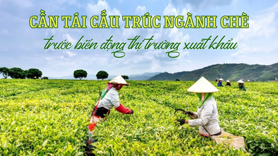 ឧស្សាហកម្មតែត្រូវការការរៀបចំរចនាសម្ព័ន្ធឡើងវិញ ដើម្បីឆ្លើយតបទៅនឹងការប្រែប្រួលនៃទីផ្សារនាំចេញ។