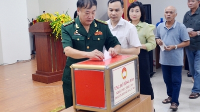 Hội CCB phường Hồng Gai góp sức xây dựng địa phương