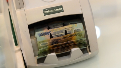 Egy 6 alkalmazottat foglalkoztató cég közel egybillió dong profitot termelt két év alatt.