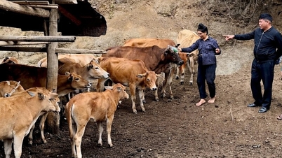 Developing concentrated large-scale livestock farming.
