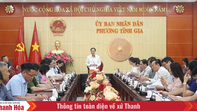 Nghi Son - Tinh Gia ساحلی سیاحت کو صوبے کے لیے پرکشش مقامات میں ترقی دینا۔
