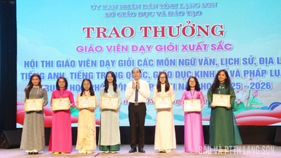 117 giáo viên được công nhận danh hiệu giáo viên dạy giỏi cấp tỉnh