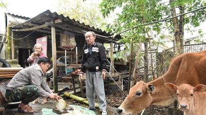 បួនថ្ងៃដើម្បីរកកូនគោមួយក្បាល - រឿងកំប្លែងមួយពីឃុំព្រំដែនតាមក្វាង។