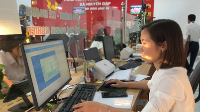 Xây dựng dự thảo Nghị định quy định chi tiết Luật Thuế thu nhập cá nhân