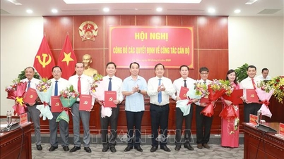 ការរៀបចំបុគ្គលិកសម្រាប់ដំណាក់កាលថ្មី។