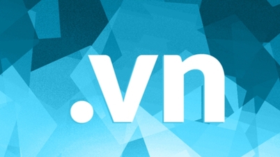 Alte 2.306 nume de domeniu „.vn” au fost înregistrate în provincia Khanh Hoa.