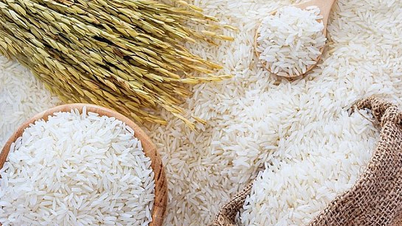 El arroz vietnamita está volviendo a ponerse de moda, pero ¿por qué?